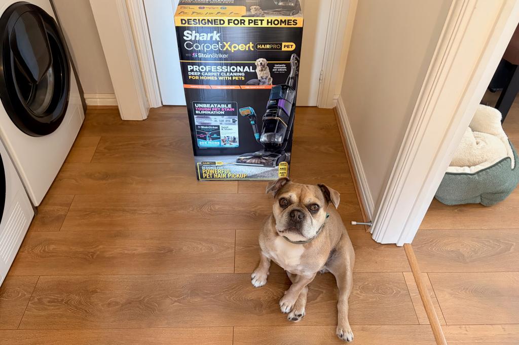 Shark’s CarpetXpert HairPro made me feel queasy – but that’s why I think every pet parent should get one