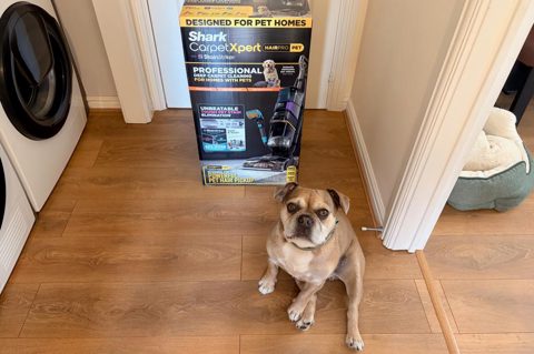 Shark’s CarpetXpert HairPro made me feel queasy – but that’s why I think every pet parent should get one