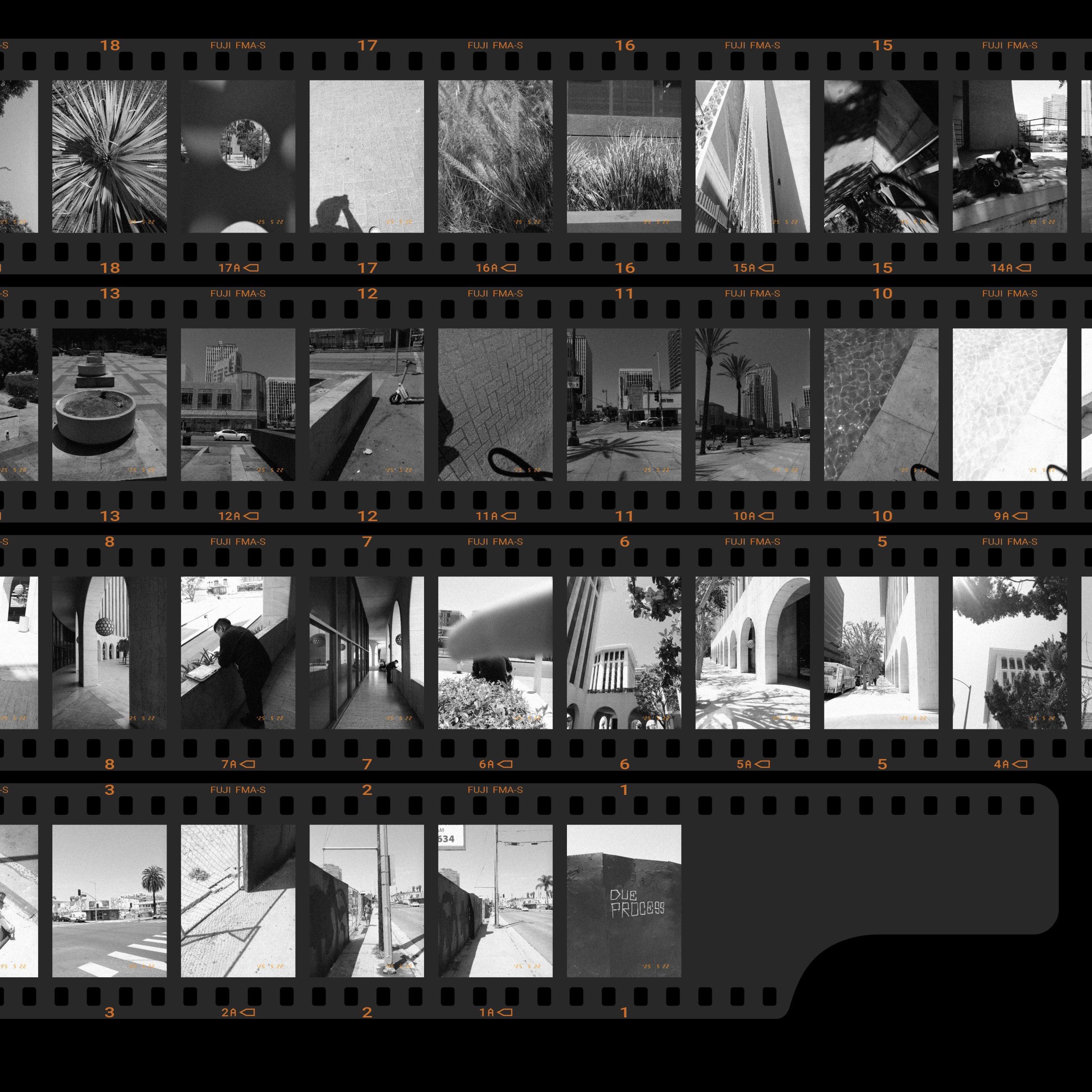 Once you are done with you digital roll of film, you can look over your contact sheet.