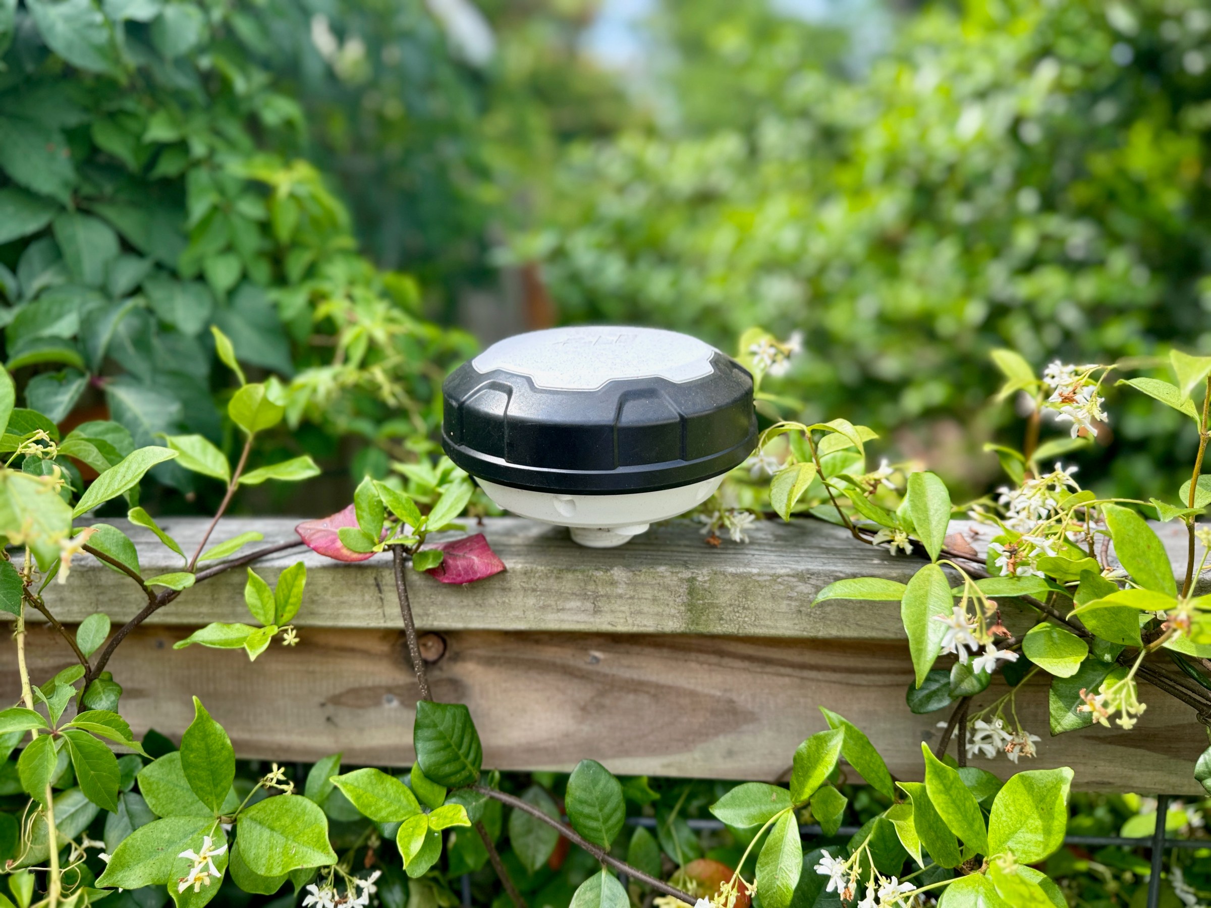 My nemesis, the Mammotion RTK antenna. After weeks of struggling to use it in my yard, I put it in my neighbor’s yard, where it had no problem finding a signal.