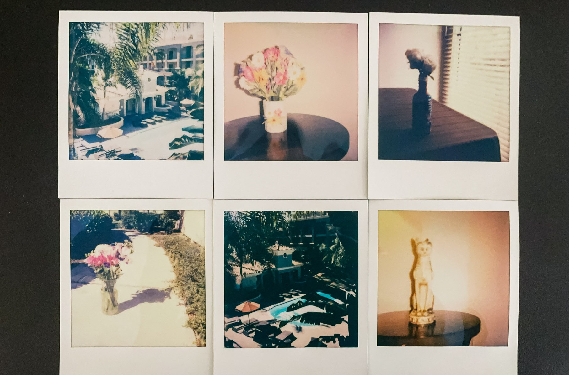 Six photos produced by the second-gen Polaroid Now Plus.