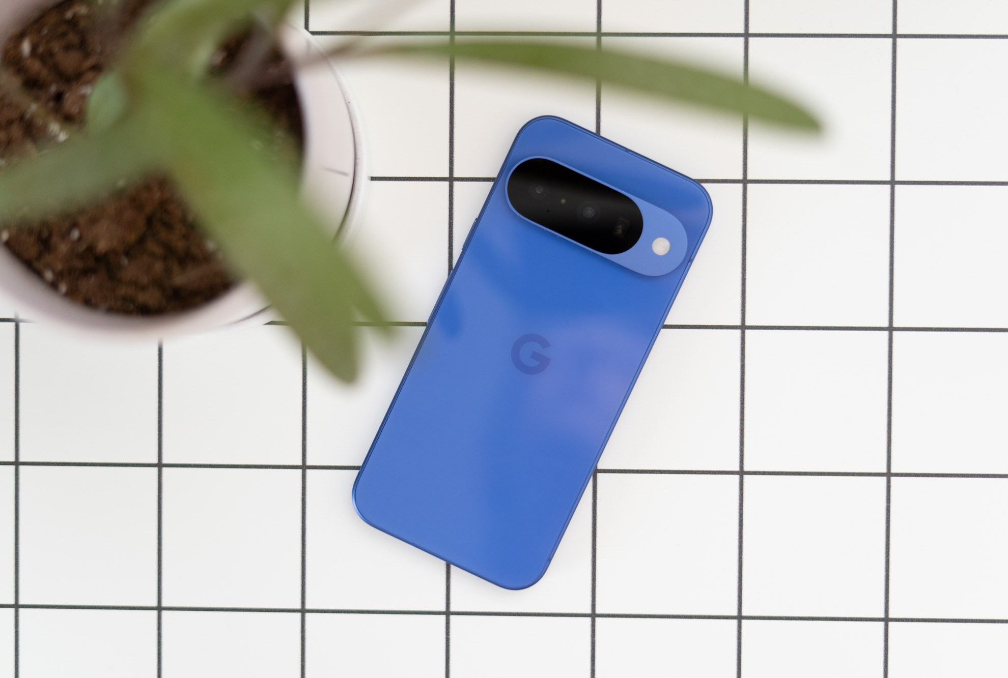 Google Pixel 10 on a desk with plant leaves in the foreground