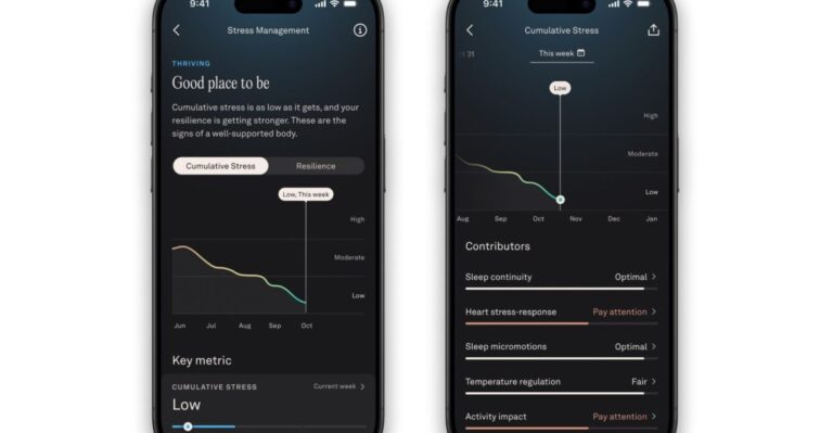 Oura redesigns app with expanded stress tracking