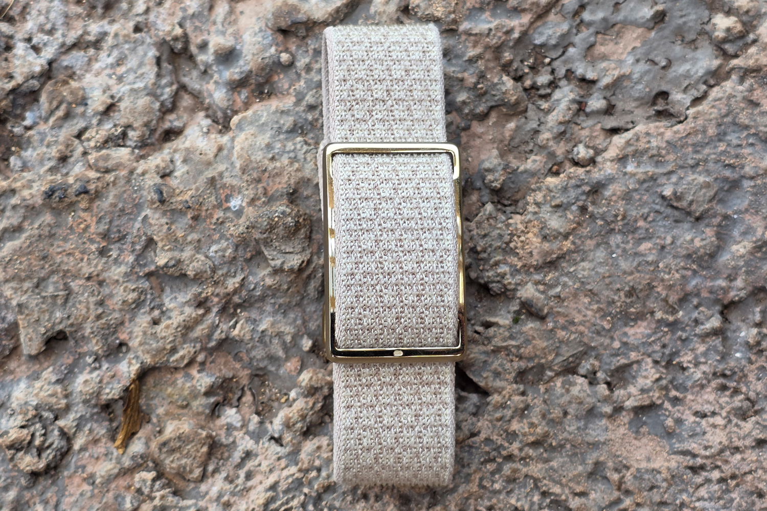 Polar Loop review face on