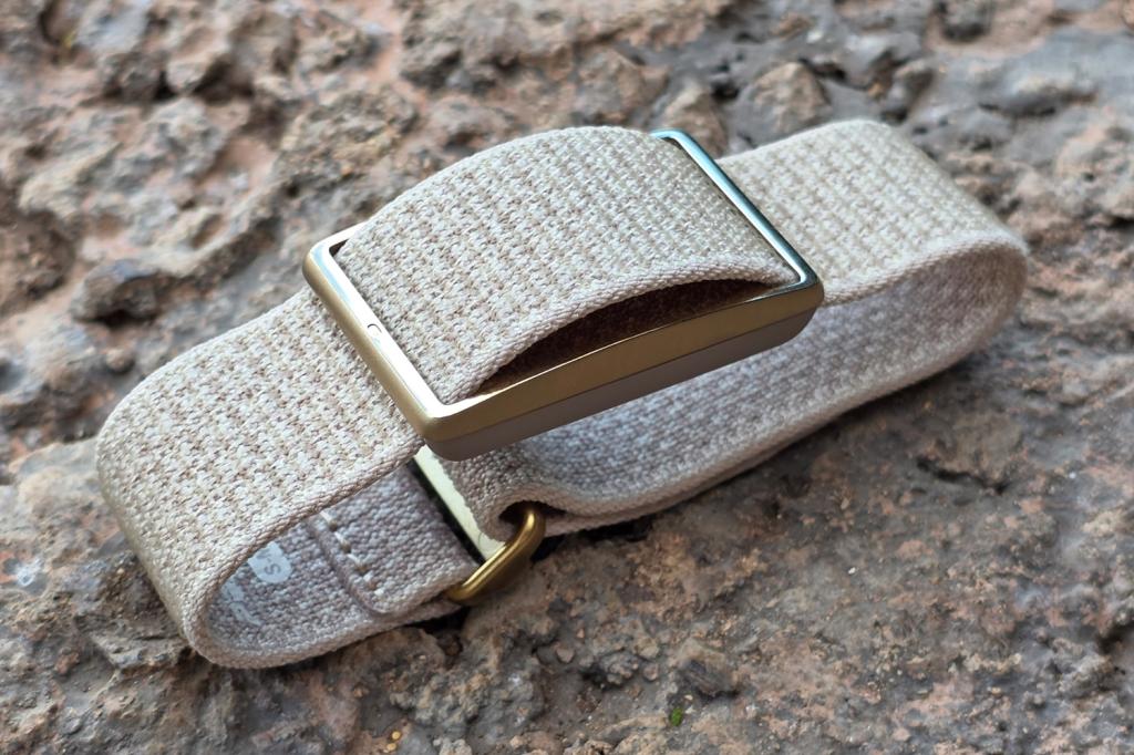 Polar Loop review verdict