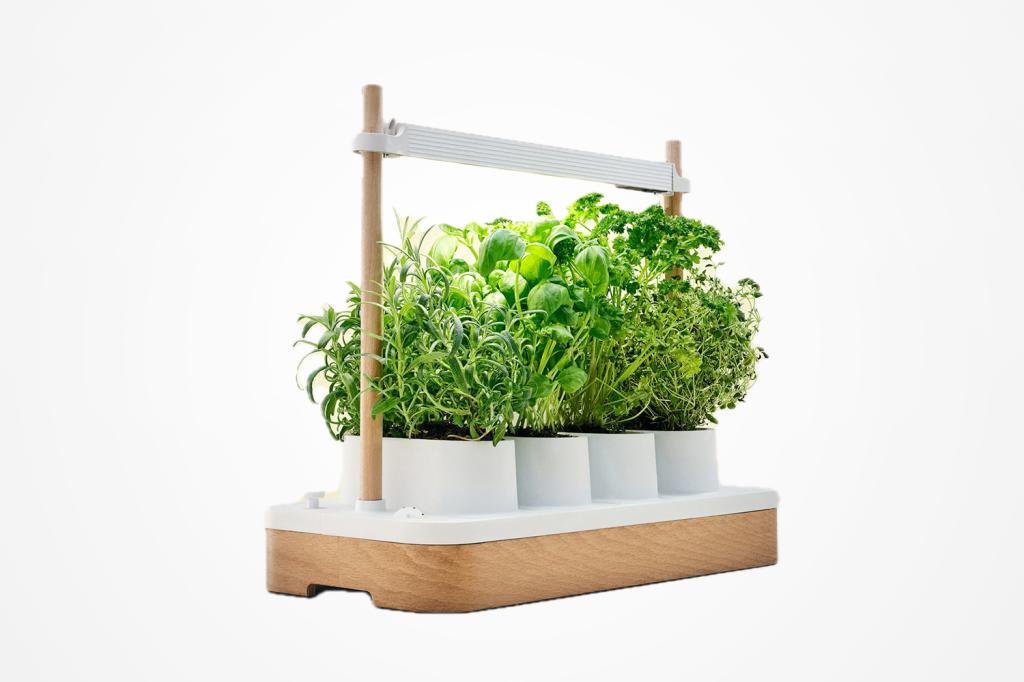 best wellness gifts