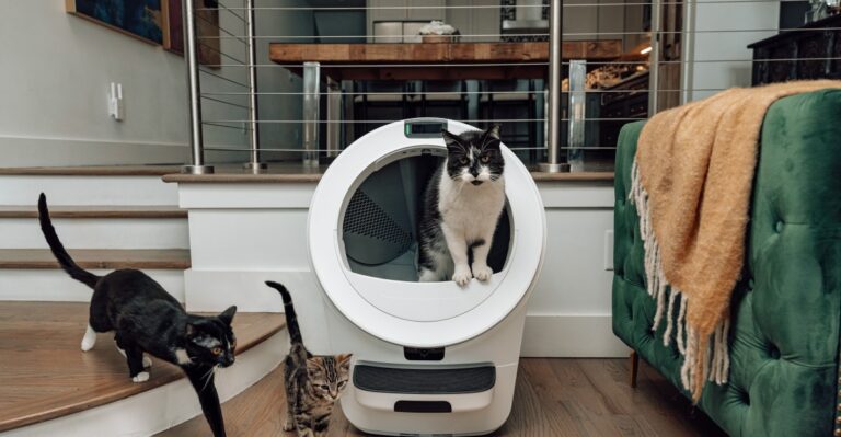 Whisker launches three new Litter-Robots, including one with cameras