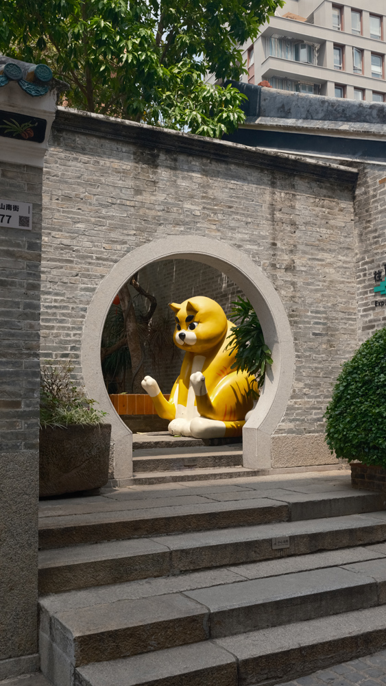 Fujifilm GFX100RF camera samples cat