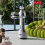 This might be the first humanoid robot you can actually have in your home