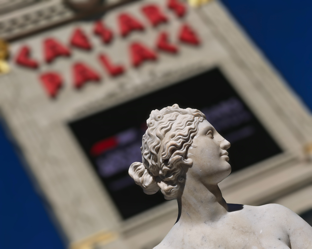 Honor Magic 8 Pro camera samples portrait