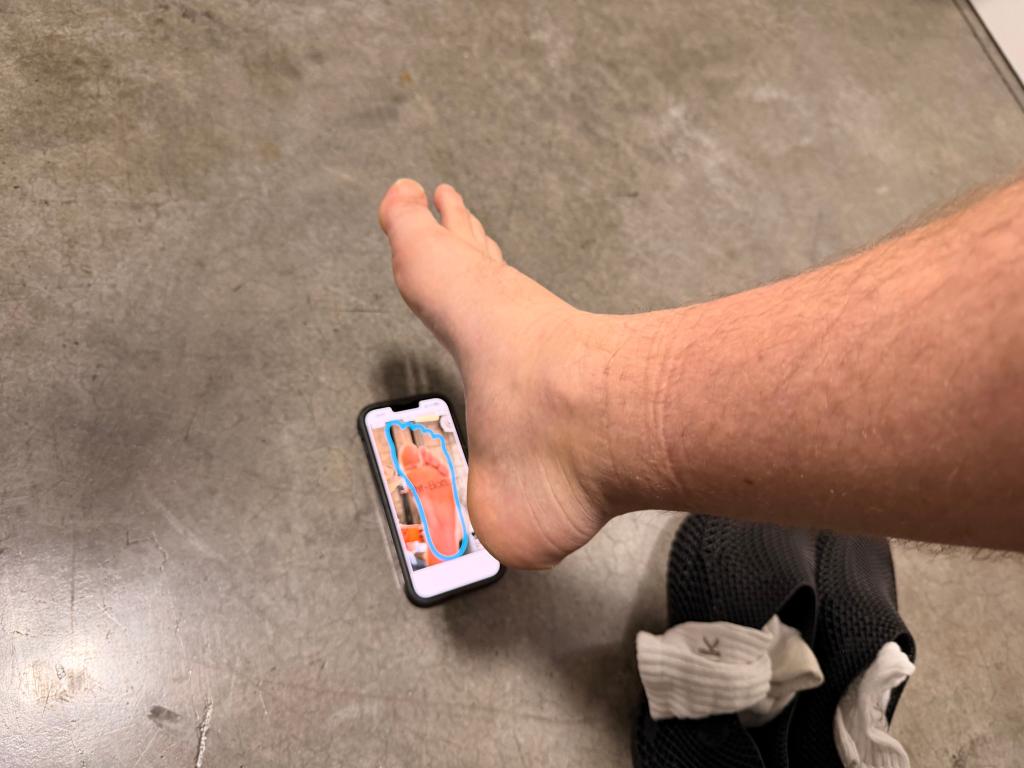 App scanning process for Fitasy