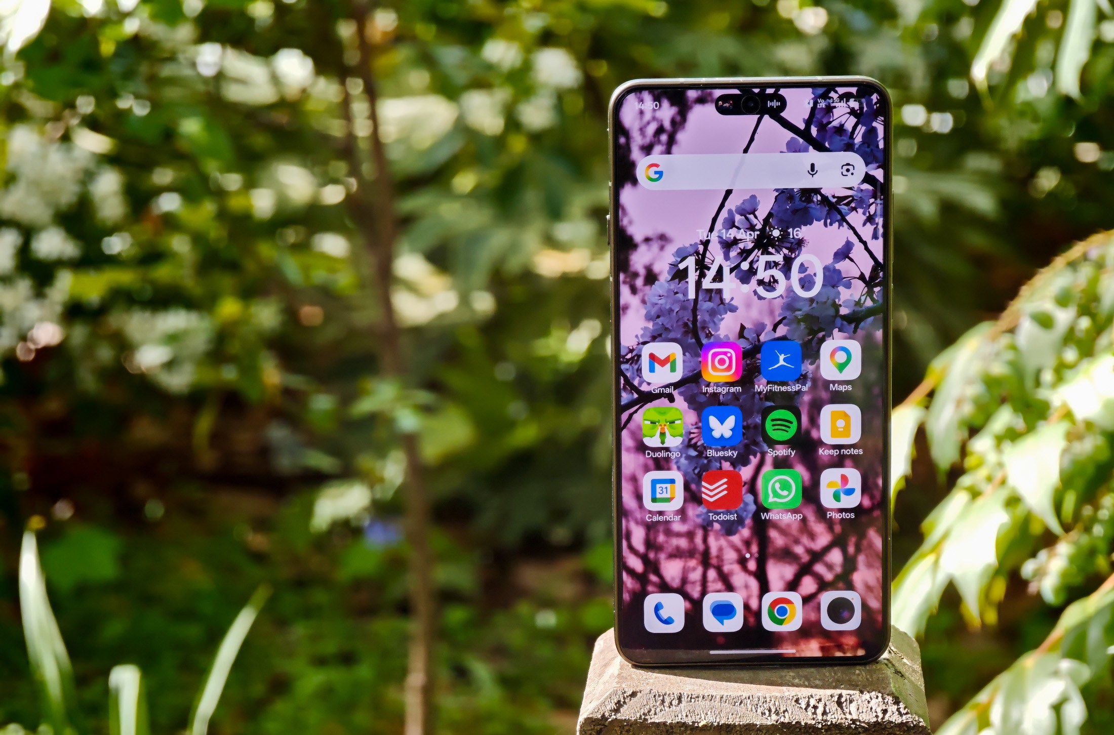Photo of Oppo Find X9 Ultra resting on a wooden post in front of green plants, showing the home screen