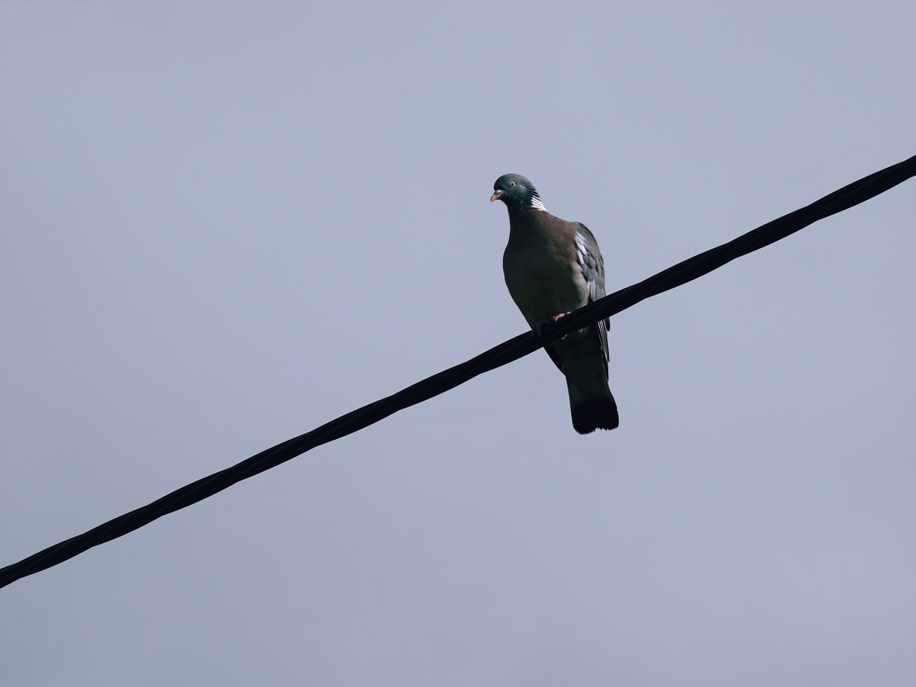 Oppo Find X9 Ultra camera samples telephone line 10x