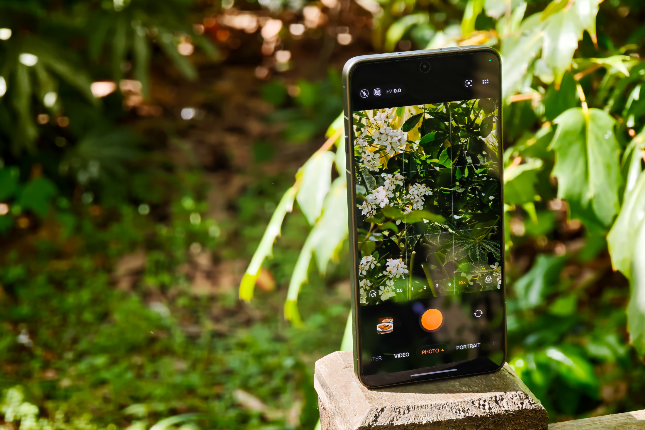 Photo of Oppo Find X9 Ultra resting on a wooden post in front of green plants, showing the camera app on 10x zoom