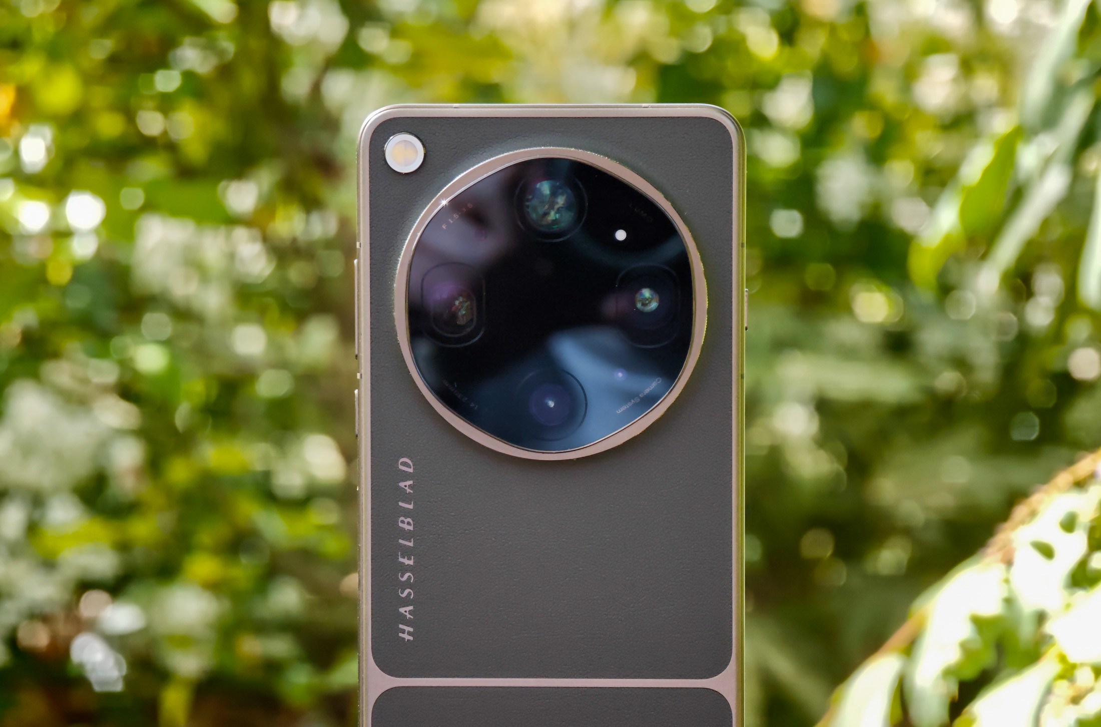 Photo of Oppo Find X9 Ultra resting on a wooden post in front of green plants, showing the rear camera island