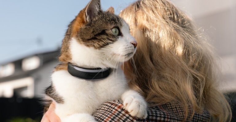 Tractive’s new dog and cat trackers provide more health insights for your pets