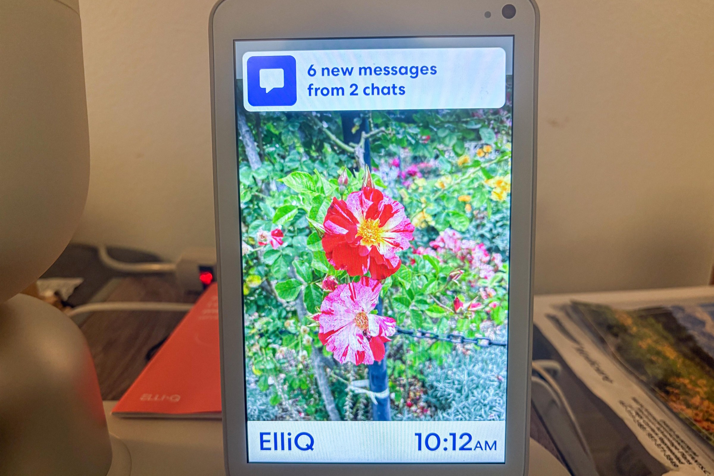 I sent mom lots of photos of flowers, and she loved it.