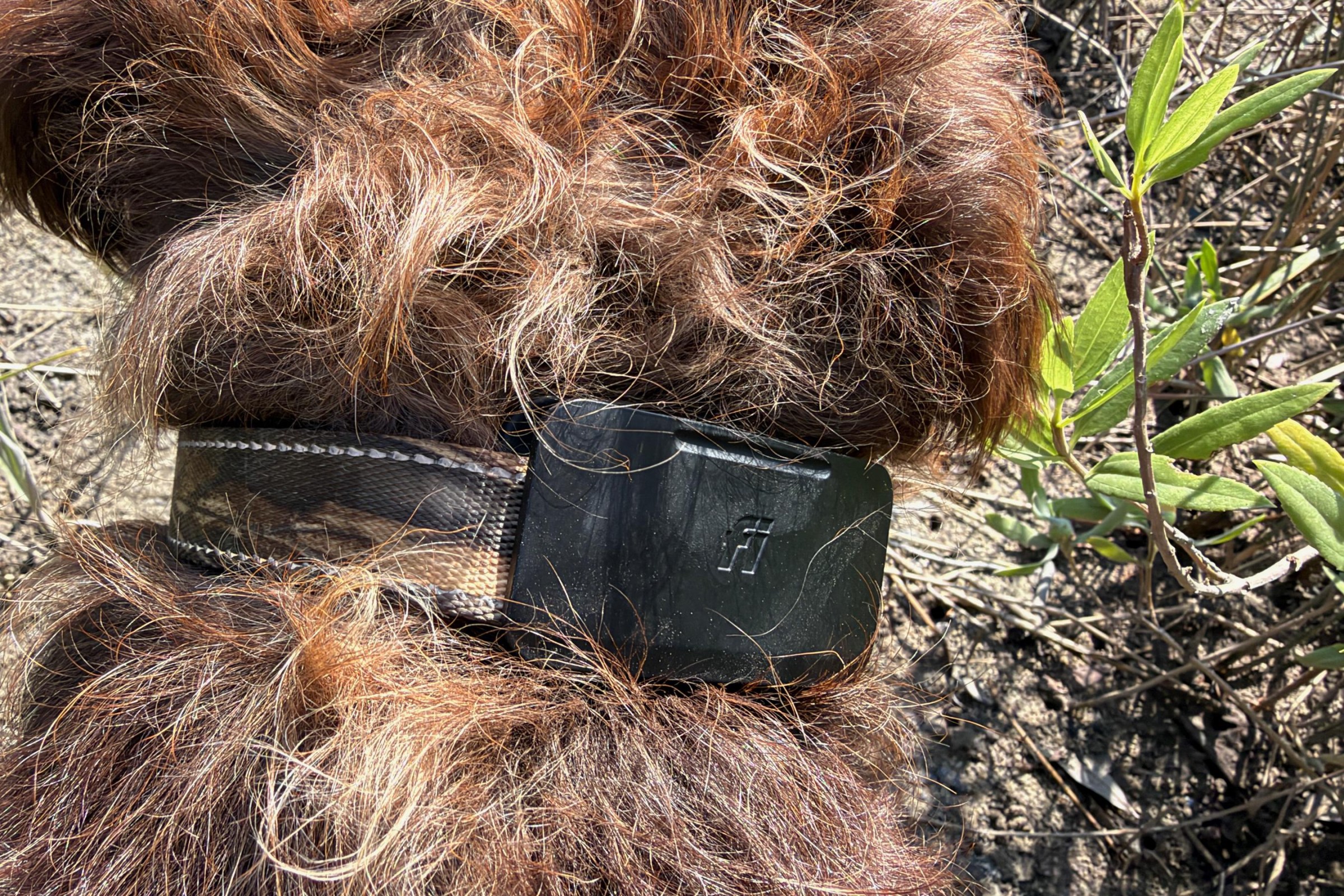 The Fi Ultra is slim and lightweight, but much wider than any other tracker I’ve tested.