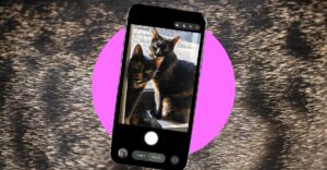 How to take better photos of your pets