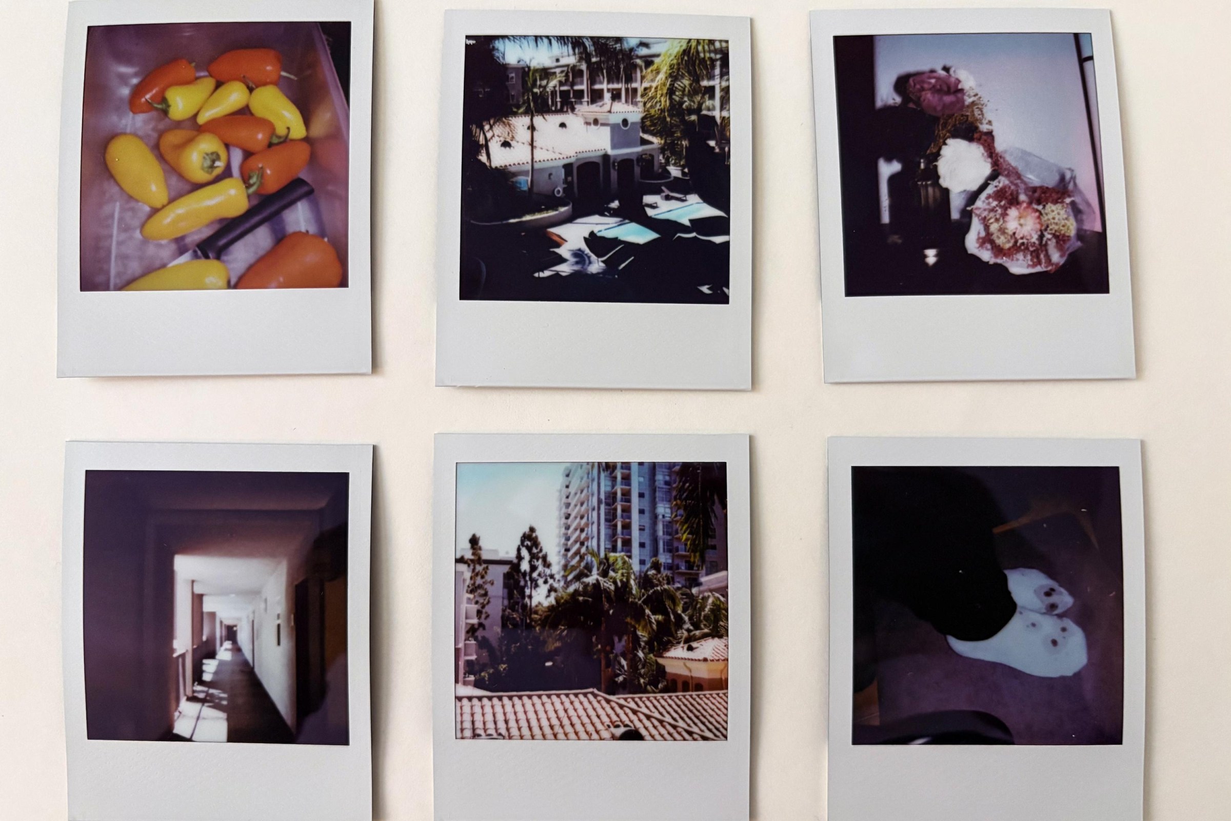 <em>The latest Polaroid Go produces charming photos but with a cooler tone.</em>