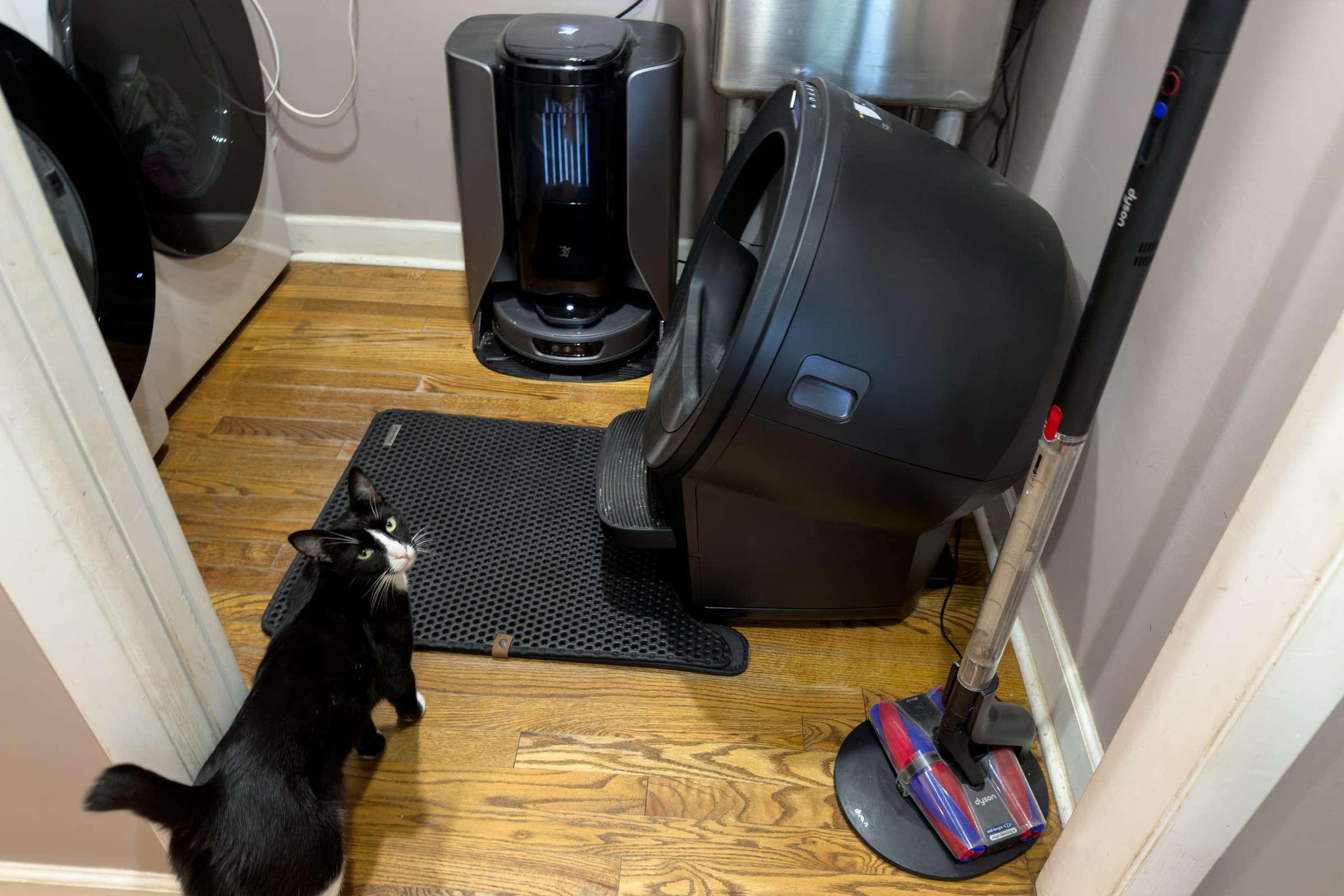 The Litter Robot Pro 5 is very large and almost 30 inches tall. It takes up a good deal of room in my small laundry room. Its globe is roomier than the Evo and LR4 making it suitable for more and larger cats — up to 5 topping out at 30lbs!