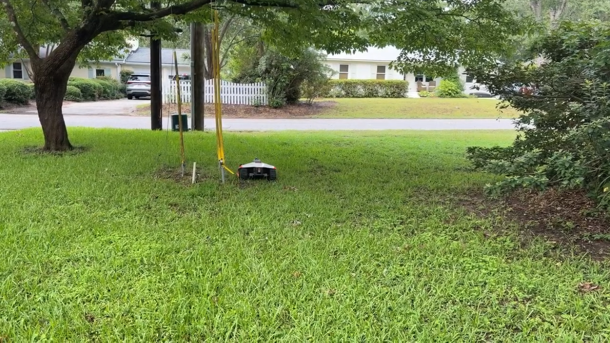 <em>The lawn before. That’s the Mammotion in the picture, starting its work.</em>