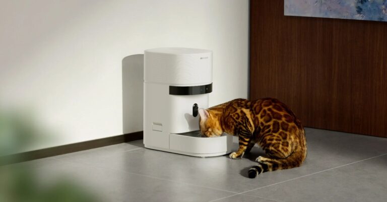Cats and dogs are missing meals after a popular smart feeder went down