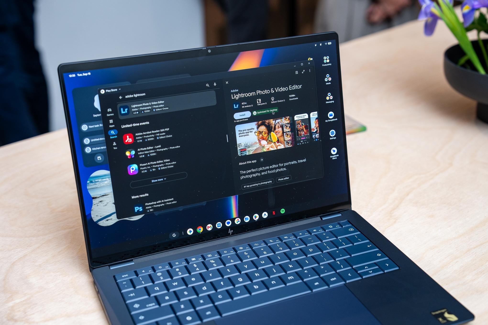 <em>It’s not the Lightroom I want, but it’s a Lightroom and it’s “Optimized for desktop.”</em>