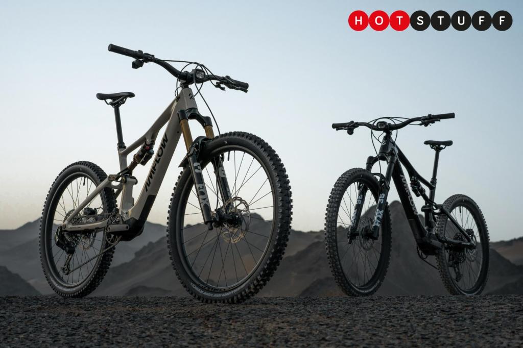 A pair of Amflow PX e-bikes with mountains in the background